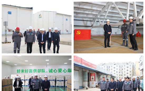 財(cái)金要聞│財(cái)金集團(tuán)黨委書記、董事長(zhǎng)安吉斌調(diào)研重點(diǎn)項(xiàng)目建設(shè)情況